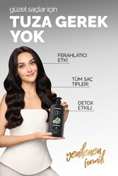 dp Daily Perfection Şampuan Mentol 425 ml - 6